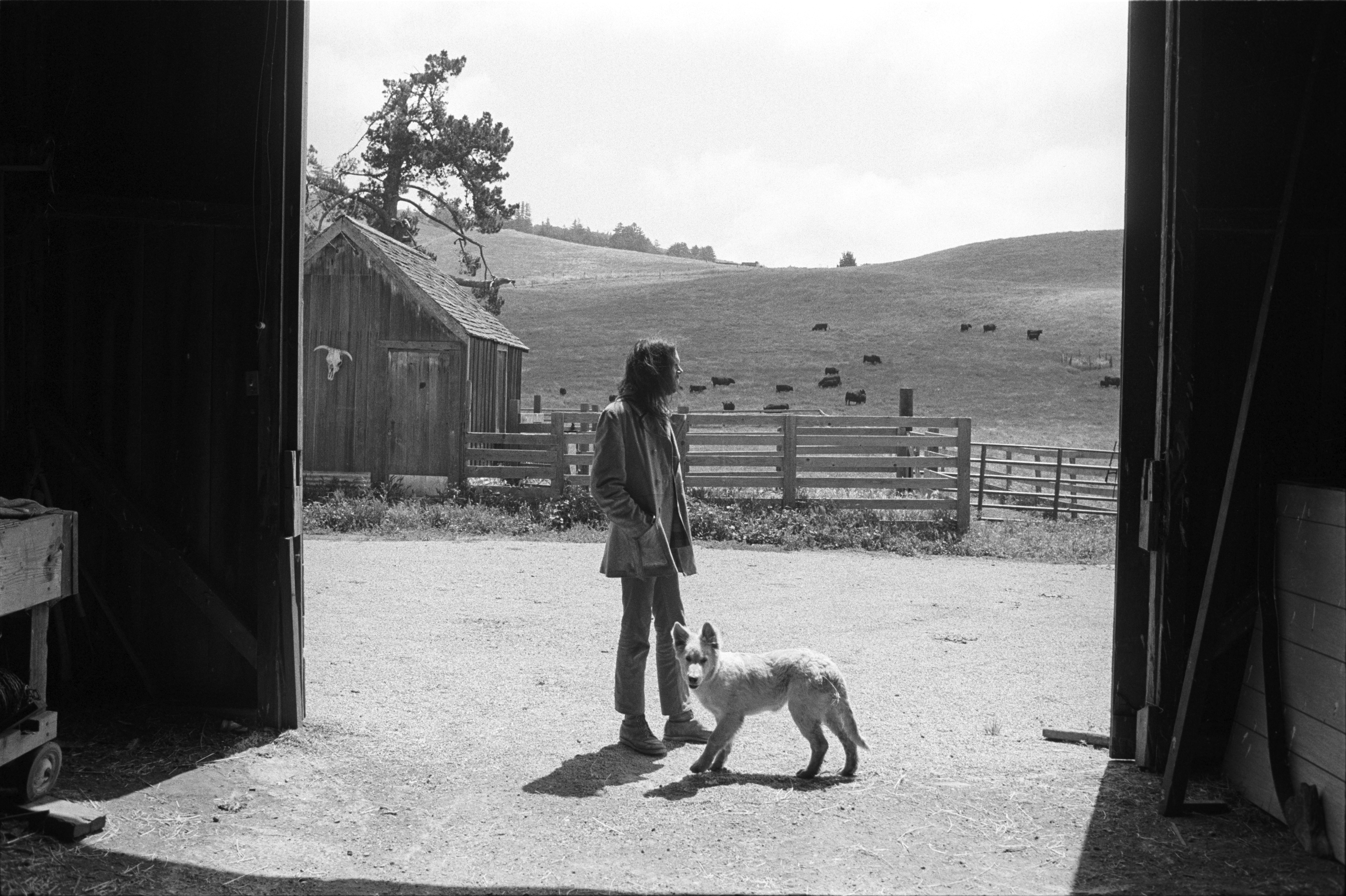 Neil Young: Harvest Time