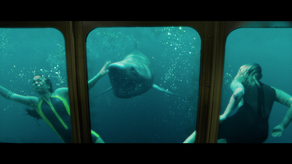 47 Meters Down: Uncaged