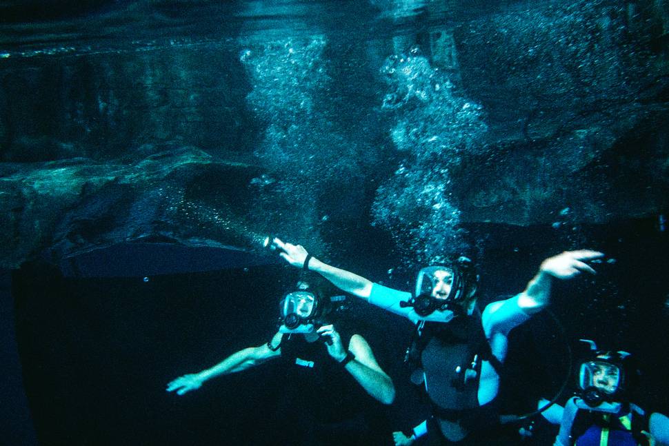 47 Meters Down: Uncaged