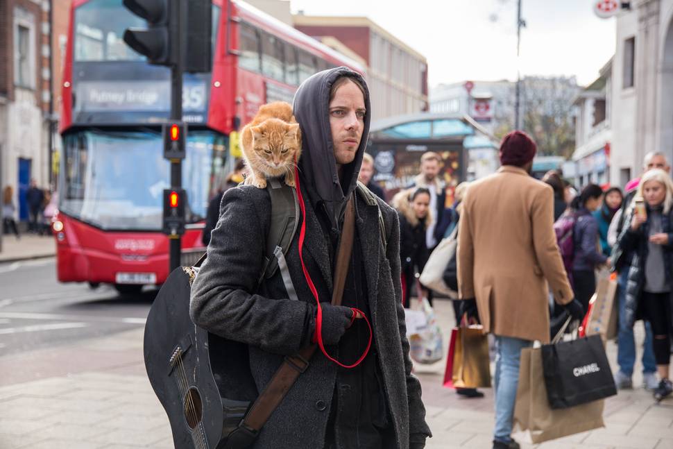 En Julegave fra gatekatten Bob