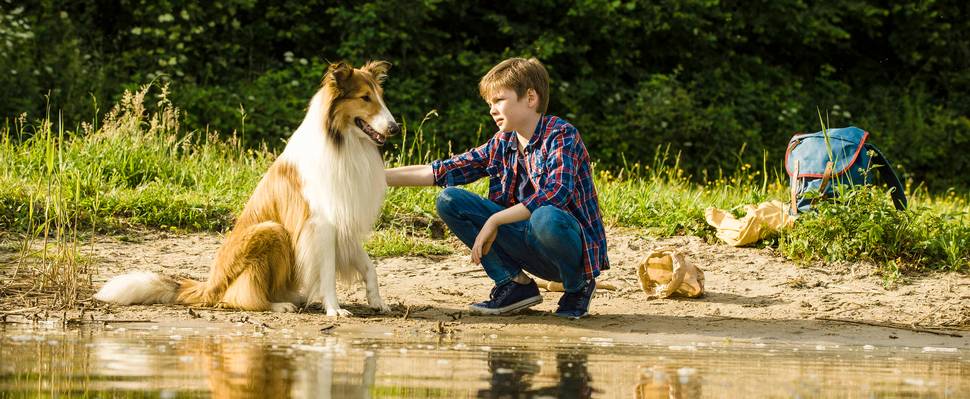 Lassie kommer hjem