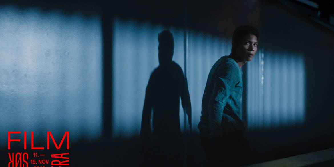 Lost in the Night