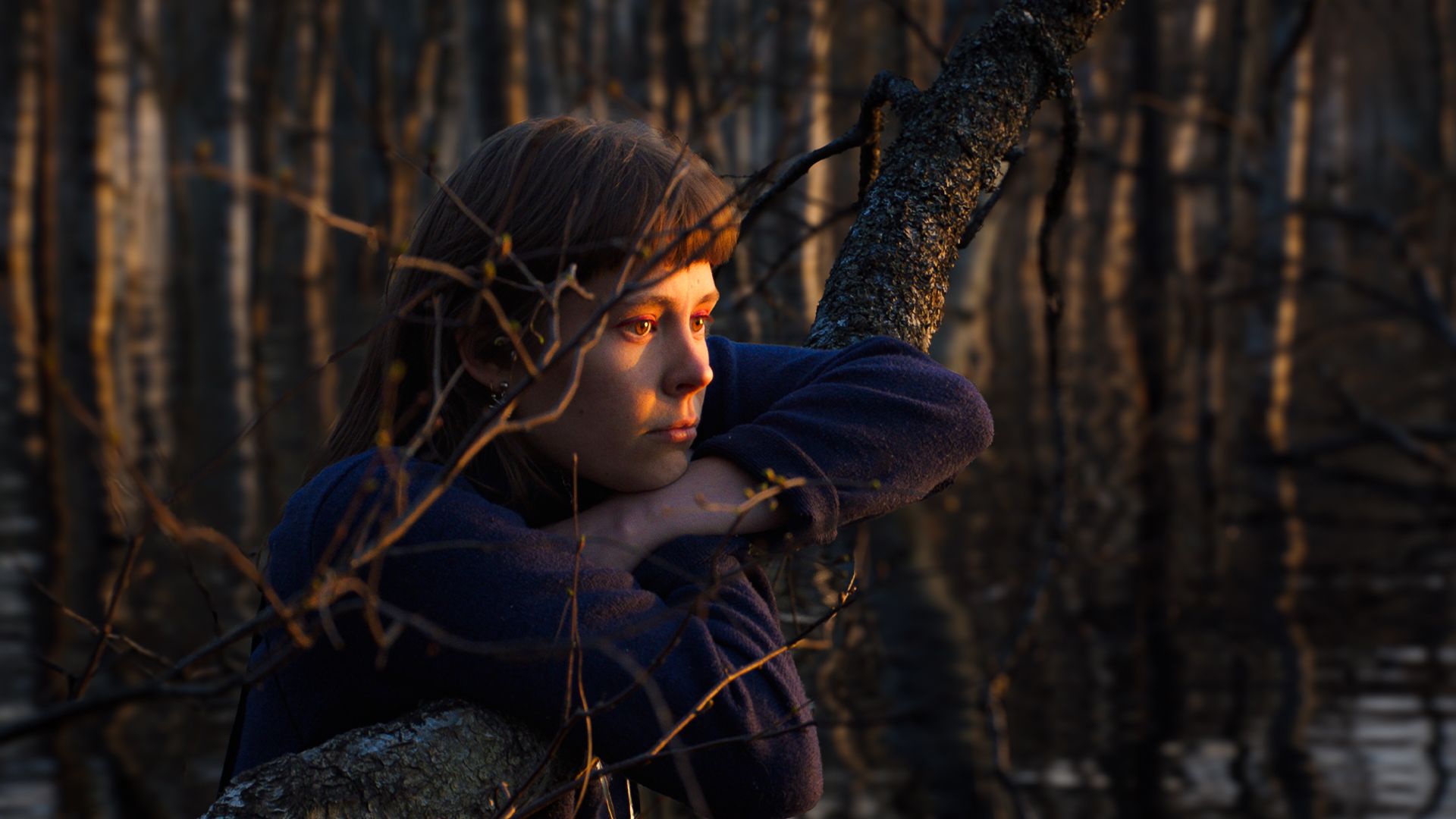 Once Upon a Time in the Forest