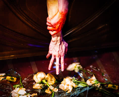 Gjenfødelse (Resurrection)