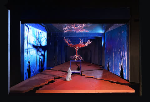 The Met Opera: El Último Sueño de Frida y Diego