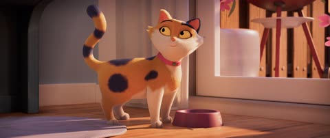Miss Moxy