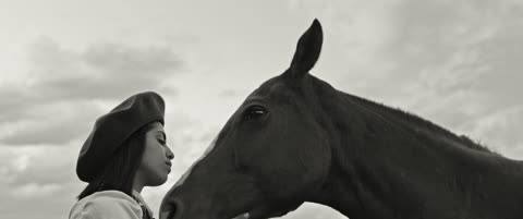 Gaucho Gaucho