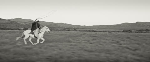 Gaucho Gaucho