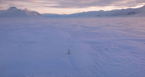 Ask & Ylva - Snørevenes utrolige reise