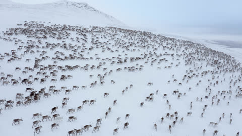 Skal hilse fra naturen