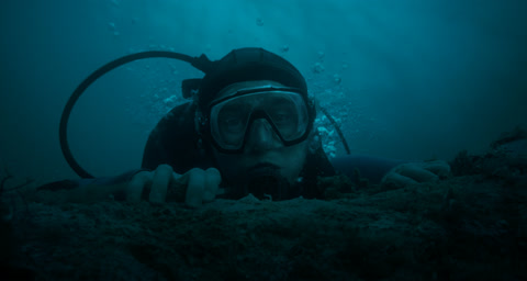 Whalefall