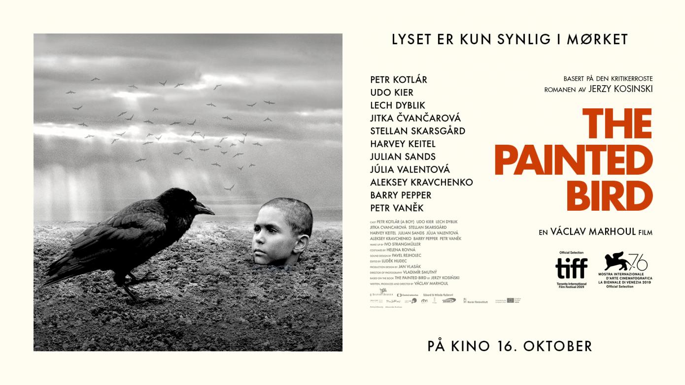 The Painted Bird