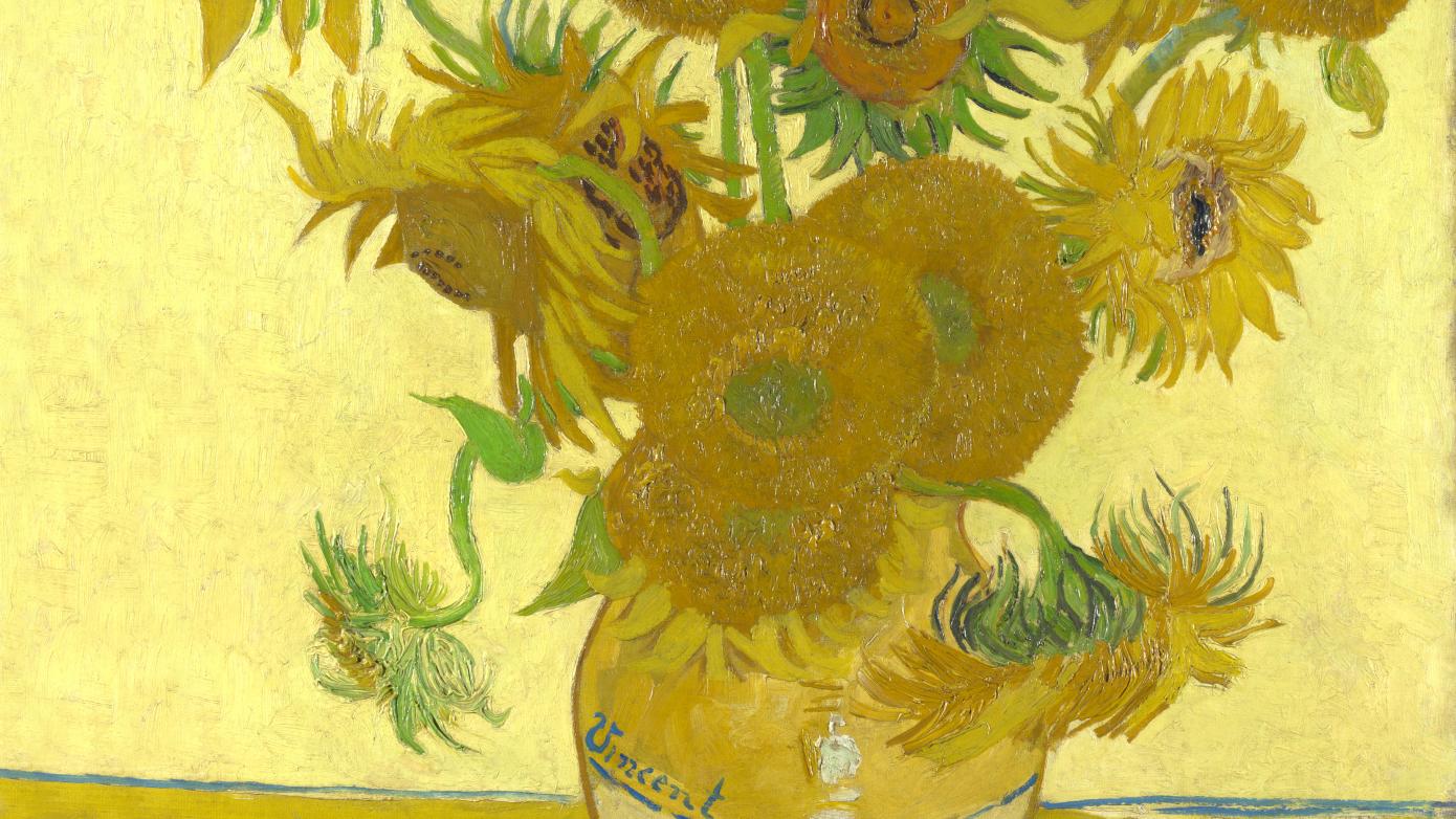 sunflowers