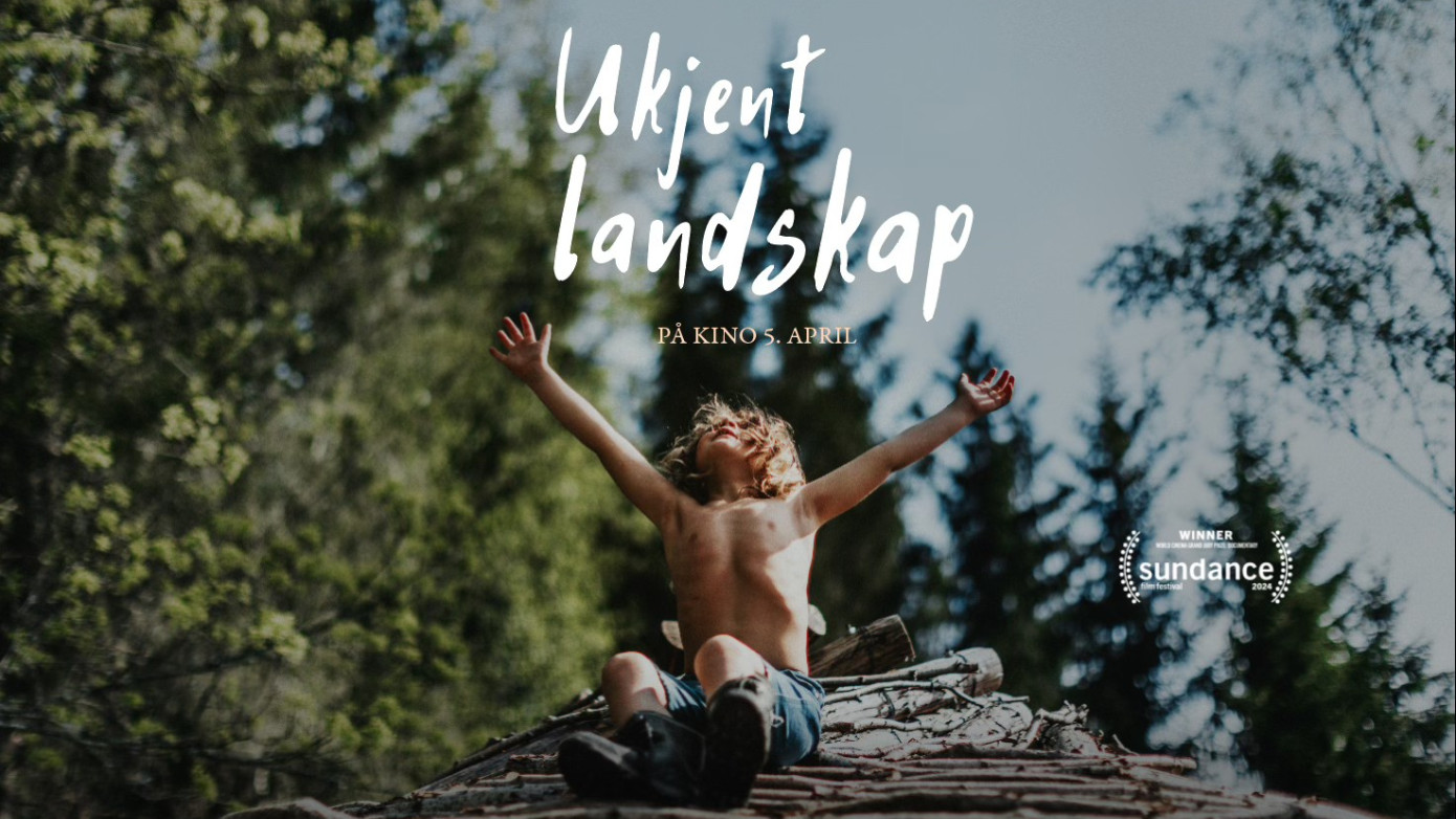 Ukjent landskap