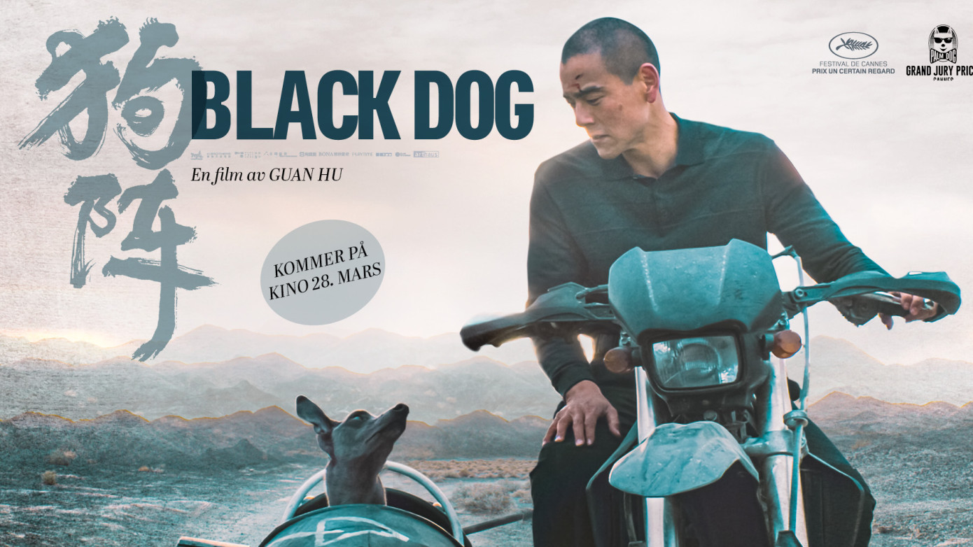 black dog
