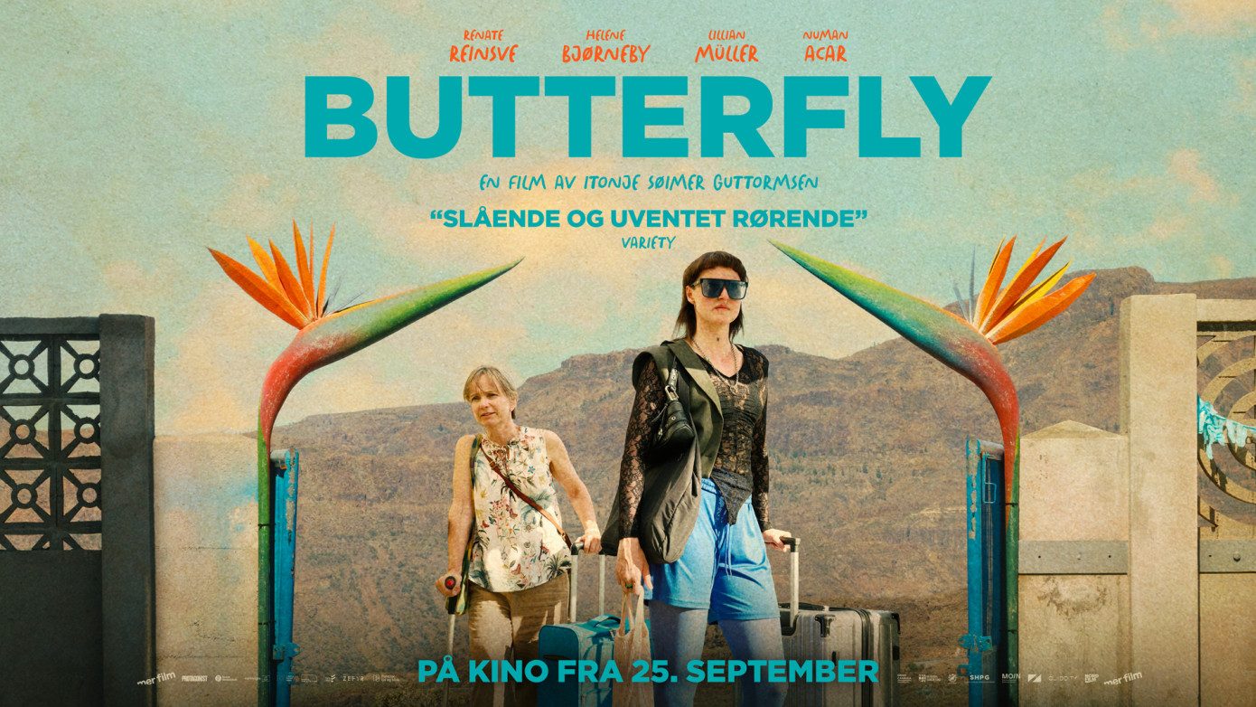 butterfly