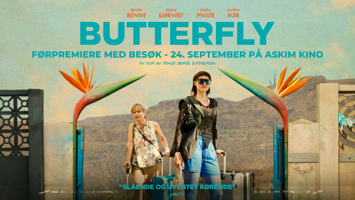 butterfly