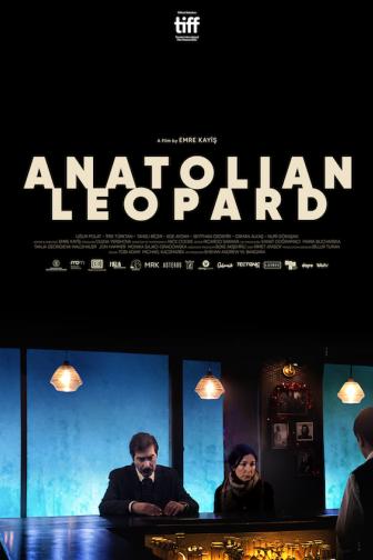 anatolian leopard