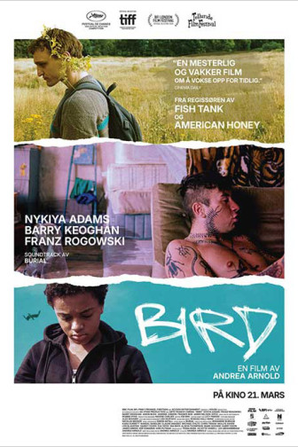 Bird