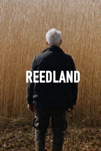 Reedland