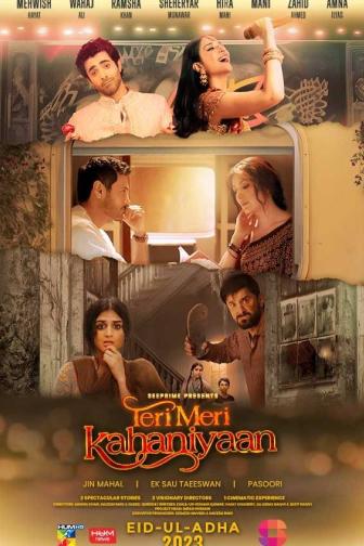 Teri Meri Kahaniyaan - Urdu
