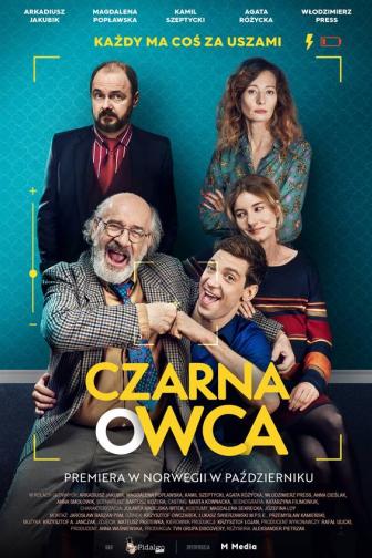 Czarna Owca