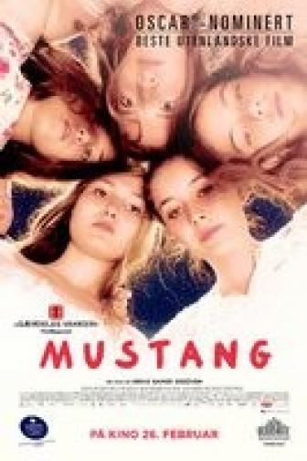 Mustang