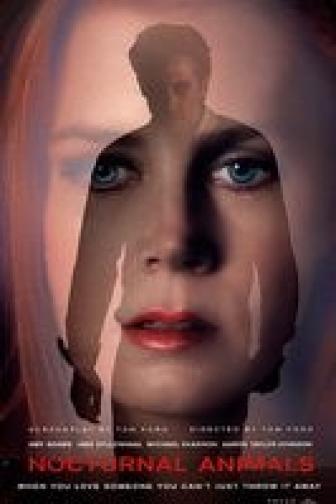Nocturnal Animals