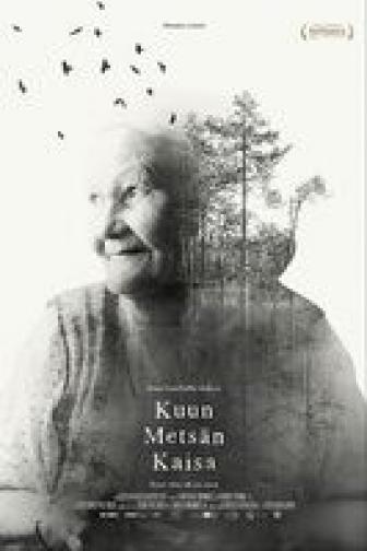 Kaisa's Enchanted Forest