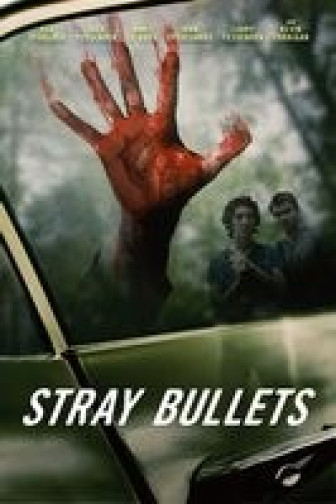 Stray Bullets