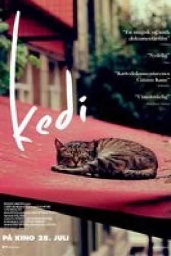 Kedi