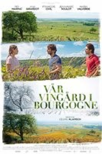 Vår vingård i Bourgogne