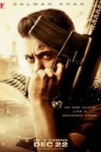 Tiger Zinda Hai