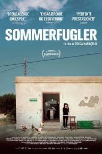 Sommerfugler