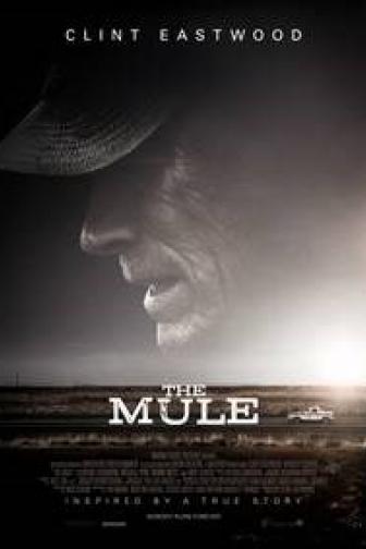 The Mule