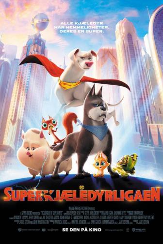 DC Super-kjæledyrligaen