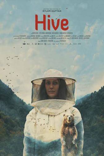 Hive