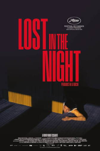 Lost in the Night