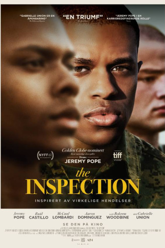 The Inspection