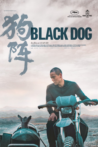 Black Dog