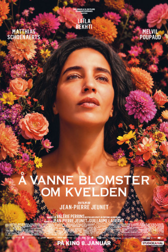 Å vanne blomster om kvelden