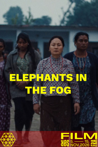 Elephants in the Fog