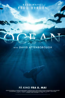Ocean