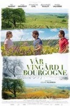 Vår vingård i Bourgogne