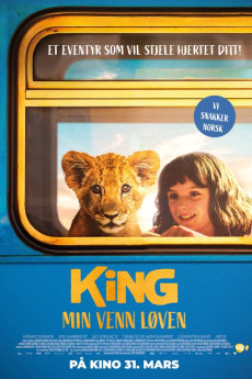 King - min venn løven