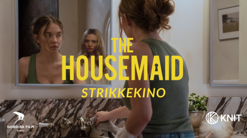 the housemaid