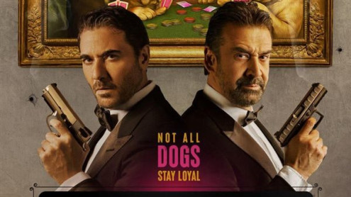 7 Dogs