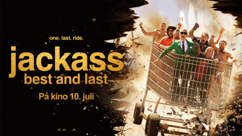 jackass
