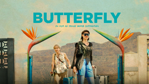 Butterfly